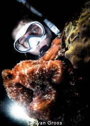 Alien encounter/ night dive with an octopus 
Sony a6600 by Ryan Groos 